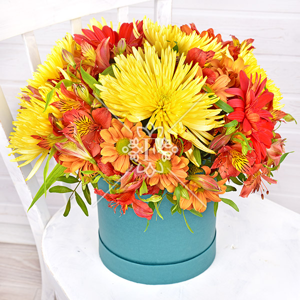 Солнечный берег