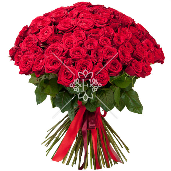 101 красная роза